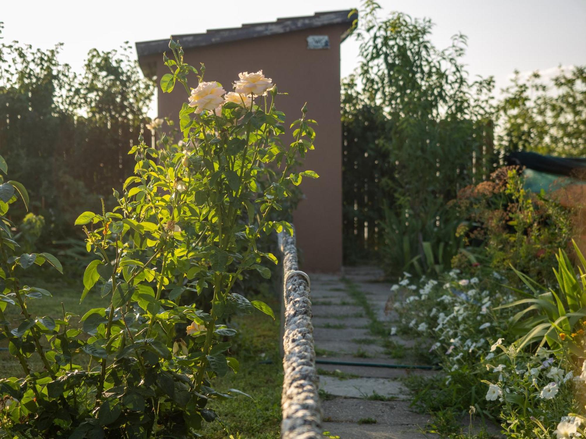 Laguna Nuferilor Habitat Somova Exterior photo